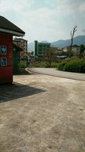 乐天花谷旅行图片 2