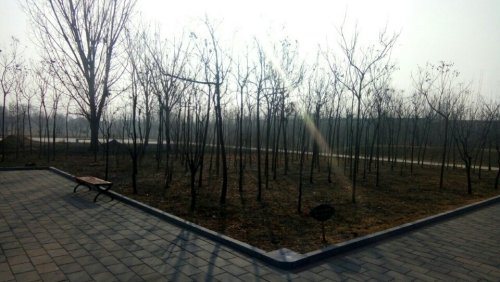 文昌公园旅行图片 1