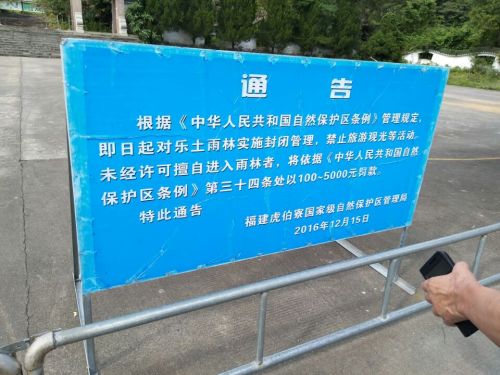 乐土亚热带雨林自然保护区旅行图片 1