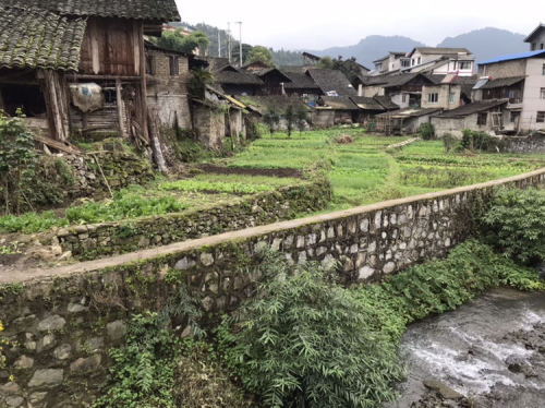 毛石镇古街景区旅行图片 3