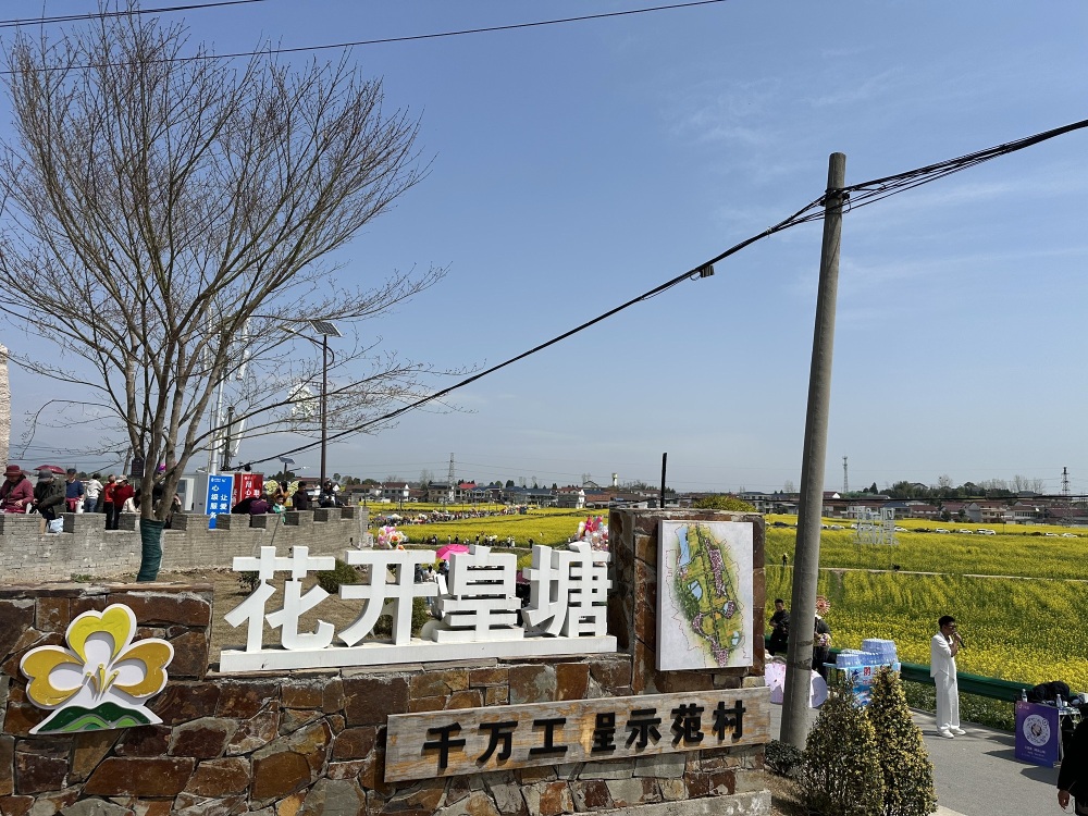 皇塘油菜花景点图片
