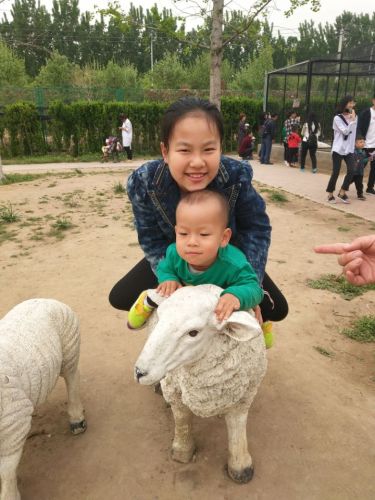天鹅湖动物园旅行图片 2