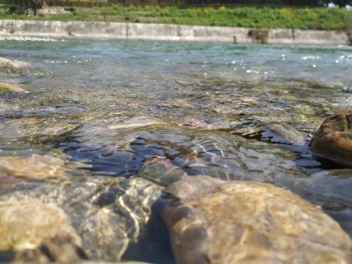 徐堰河湿地公园旅行图片 2