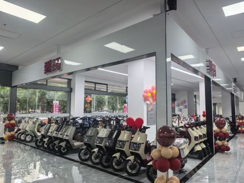 源安隆店绿佳电动车