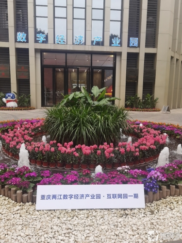 重庆两江数字经济产业园实景图