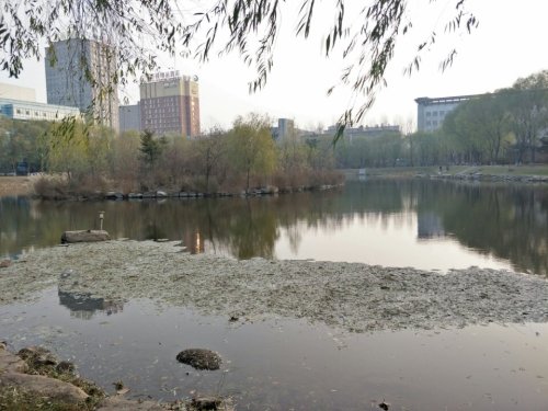 晏湖旅行图片 1