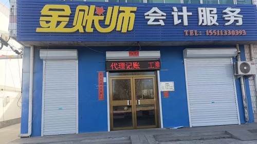 金账师会计服务(工商注册年审变更代账记账财务监管)