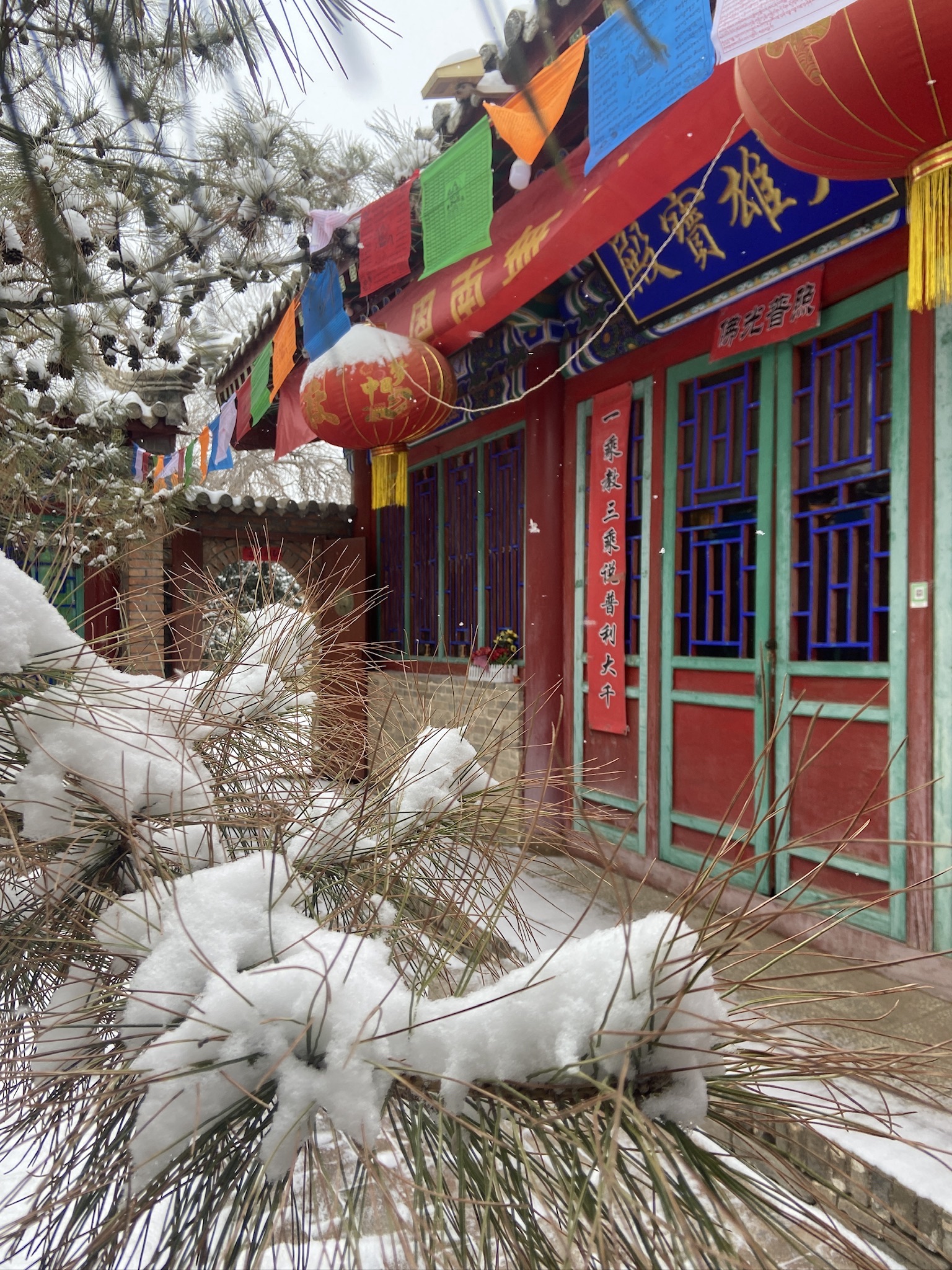 西太平太清寺实景照片