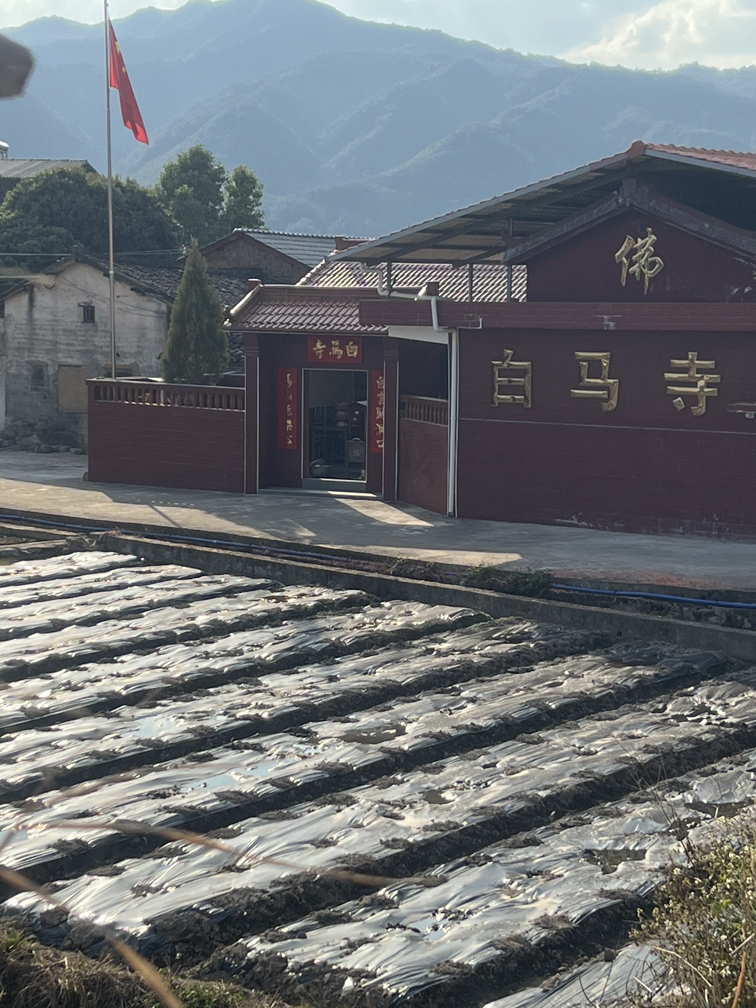 白马寺实景照片