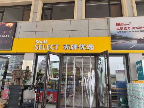 壳牌体北加油站
