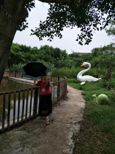 天香度假营地旅行图片 1