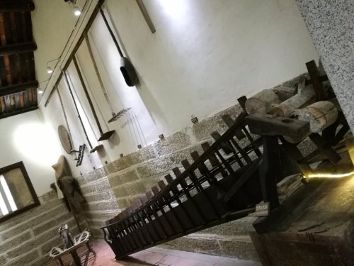 东宝宝里富美乡村公园旅行图片 3