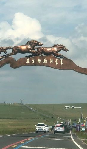 呼伦贝尔莫尔格勒河 景点照片