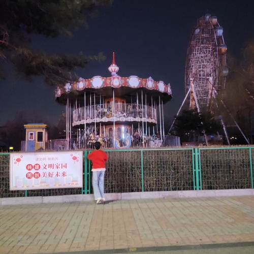 儿童公园-豪华转马