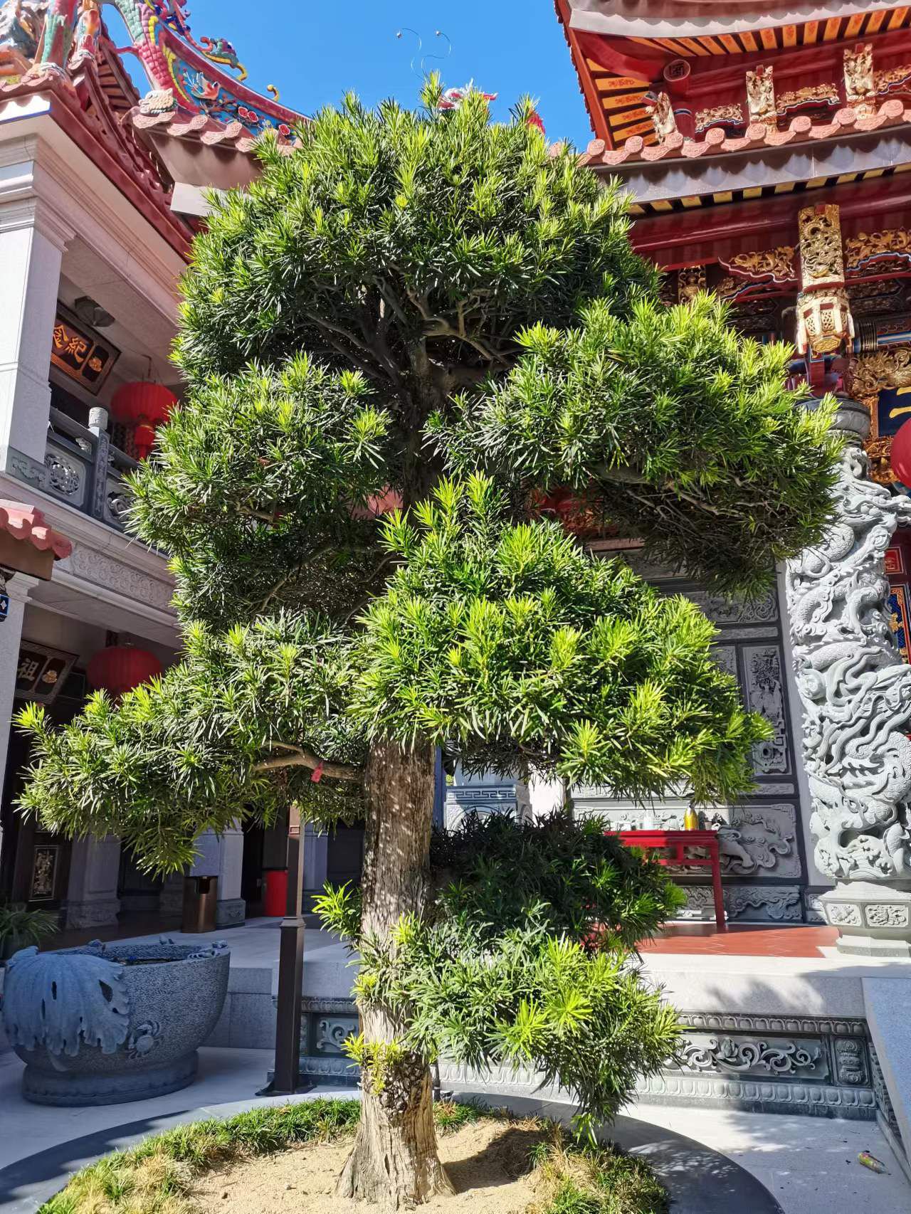 凤坑释迦寺实景照片