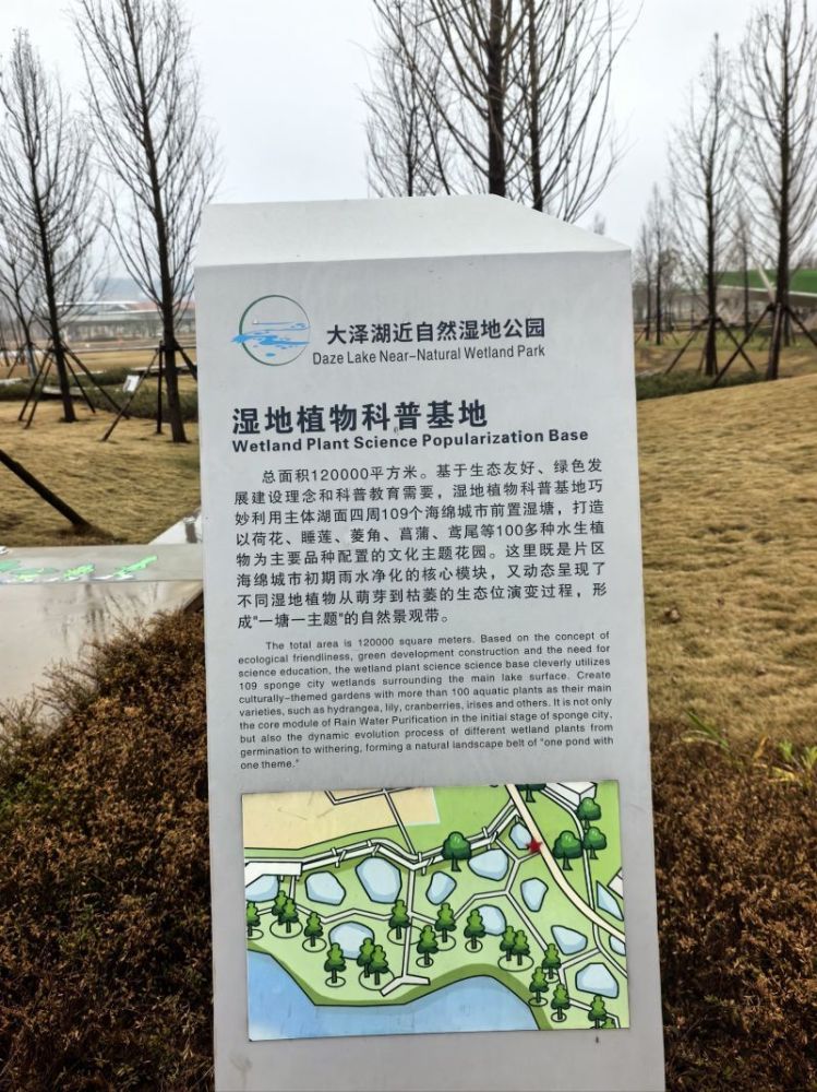 大泽湖近自然湿地公园景点图片