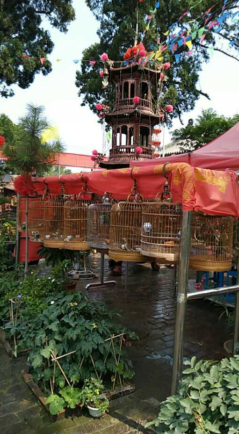 悟圆寺实景照片