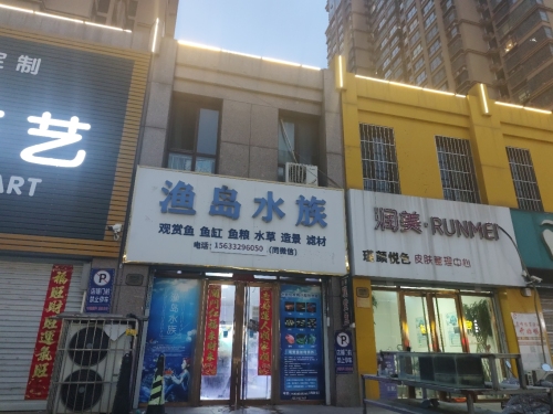 定州渔岛水族(缔景城店)