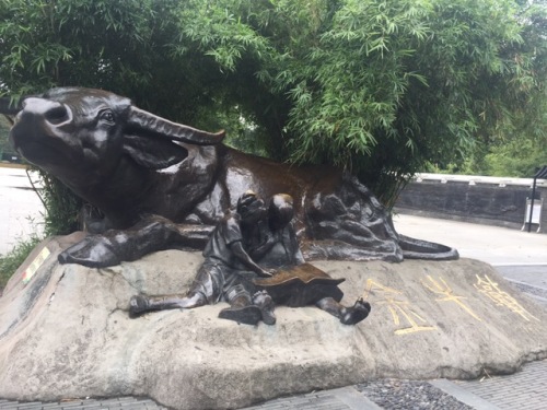 奔牛公园旅行图片 1