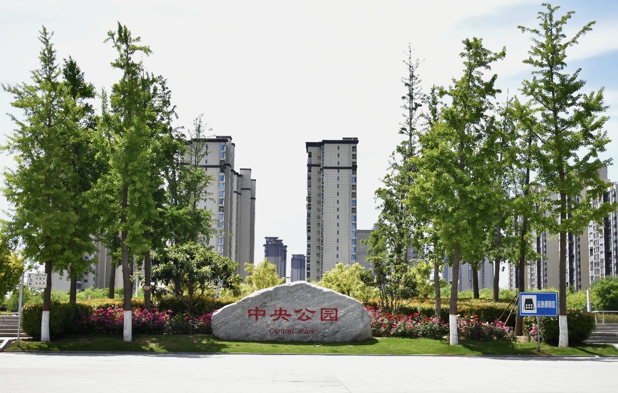 中央公园现场照片 3