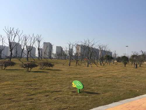 仪征五一公园旅行图片 1