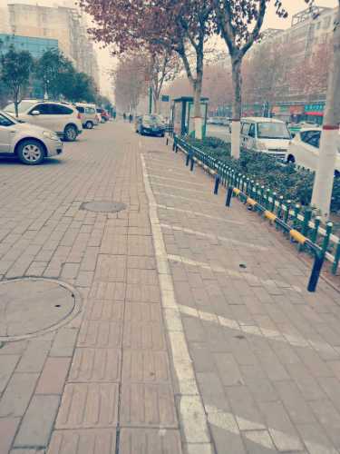 桂花大道游园旅行图片 2