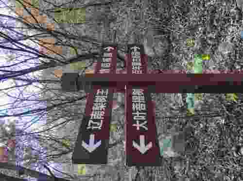 龙门汤森林公园佛座山碾盘沟景区旅行图片 3