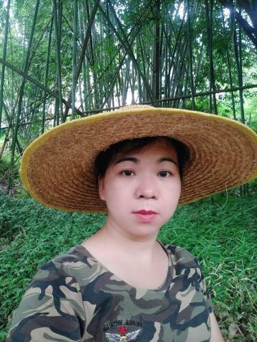 古水镇森林公园旅行图片 3