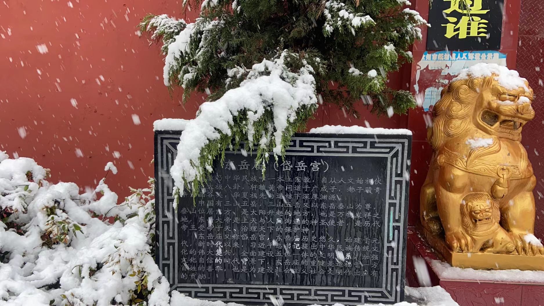 东岳庙实景照片