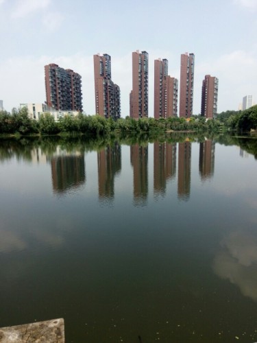 中国铁建·国际城湿地公园旅行图片 1