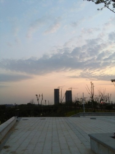 桃江湿地公园旅行图片 3