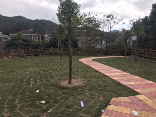 新光村榕树头公园旅行图片 1