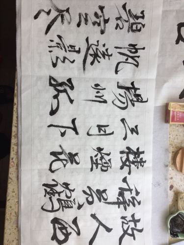 白洋河湿地旅行图片 3