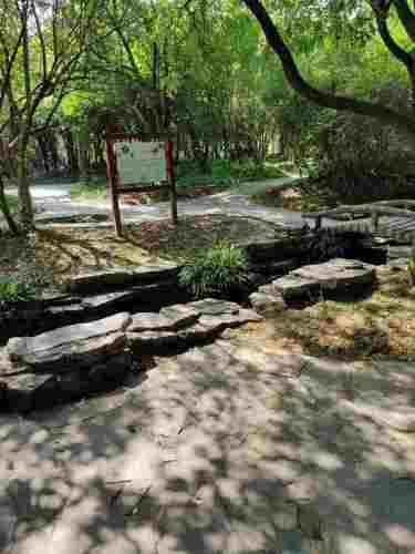 花垣县边城公园管理处旅行图片 3