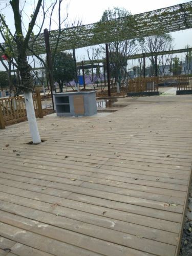 花山金港汽车主题公园旅行图片 2
