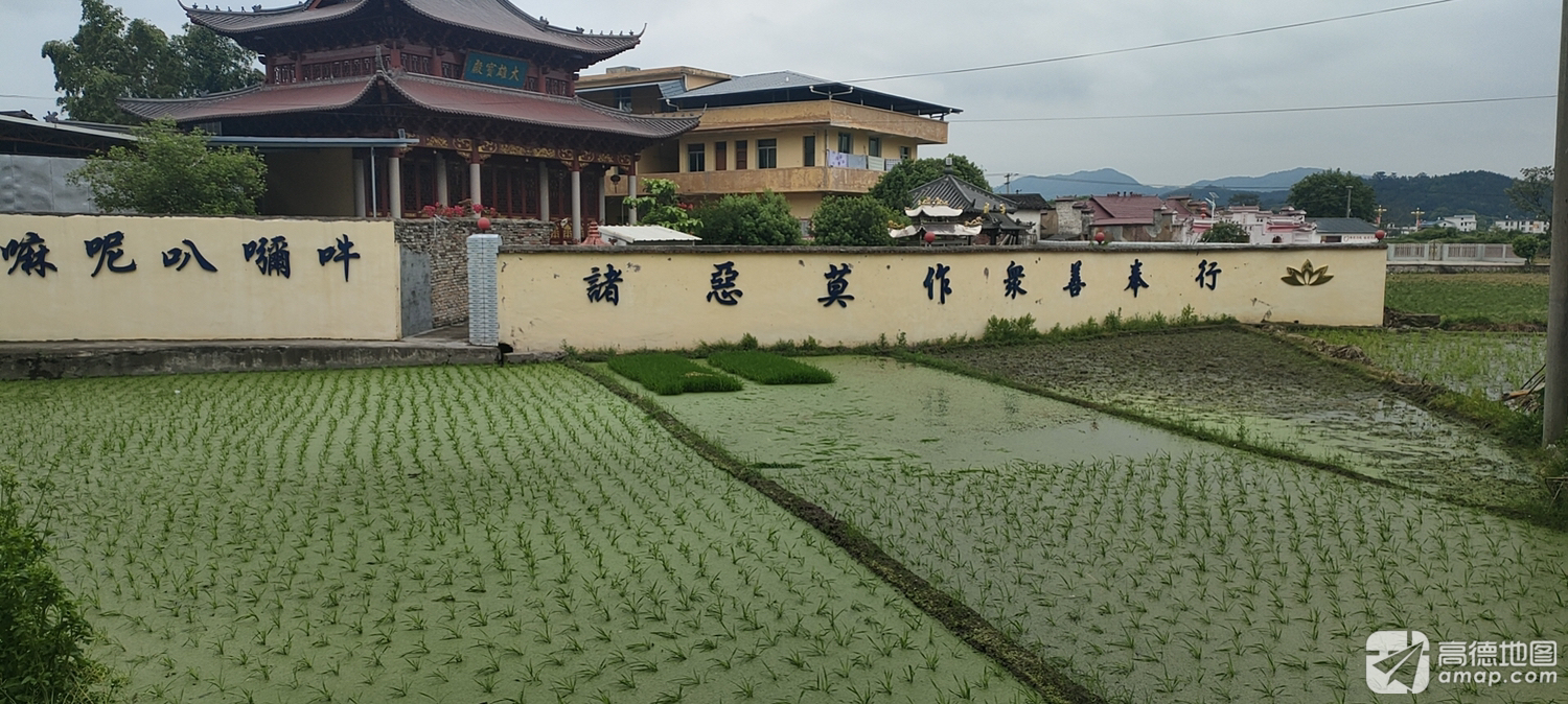 连城莲池寺实景照片
