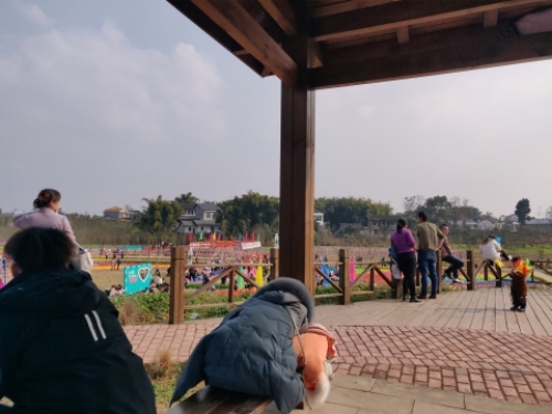 武胜梦田花海旅行图片 2