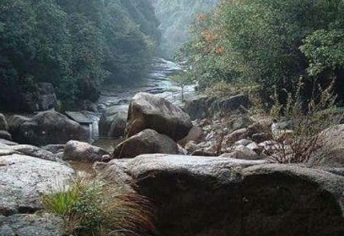 黄山·皇帝源休闲度假区旅行图片 1