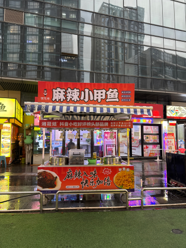 湘筱妞麻辣小甲鱼(德思勤店)