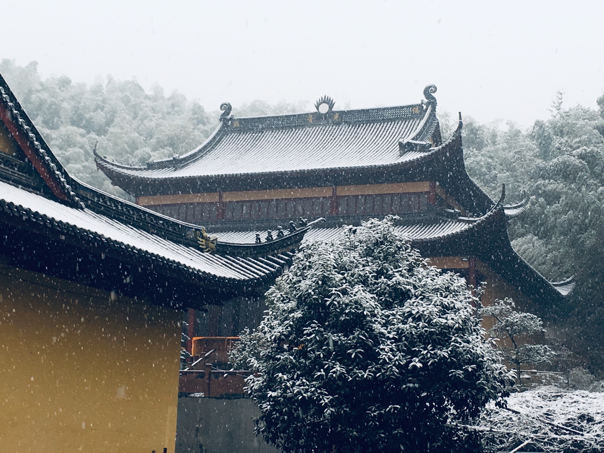 定水禅寺实景照片