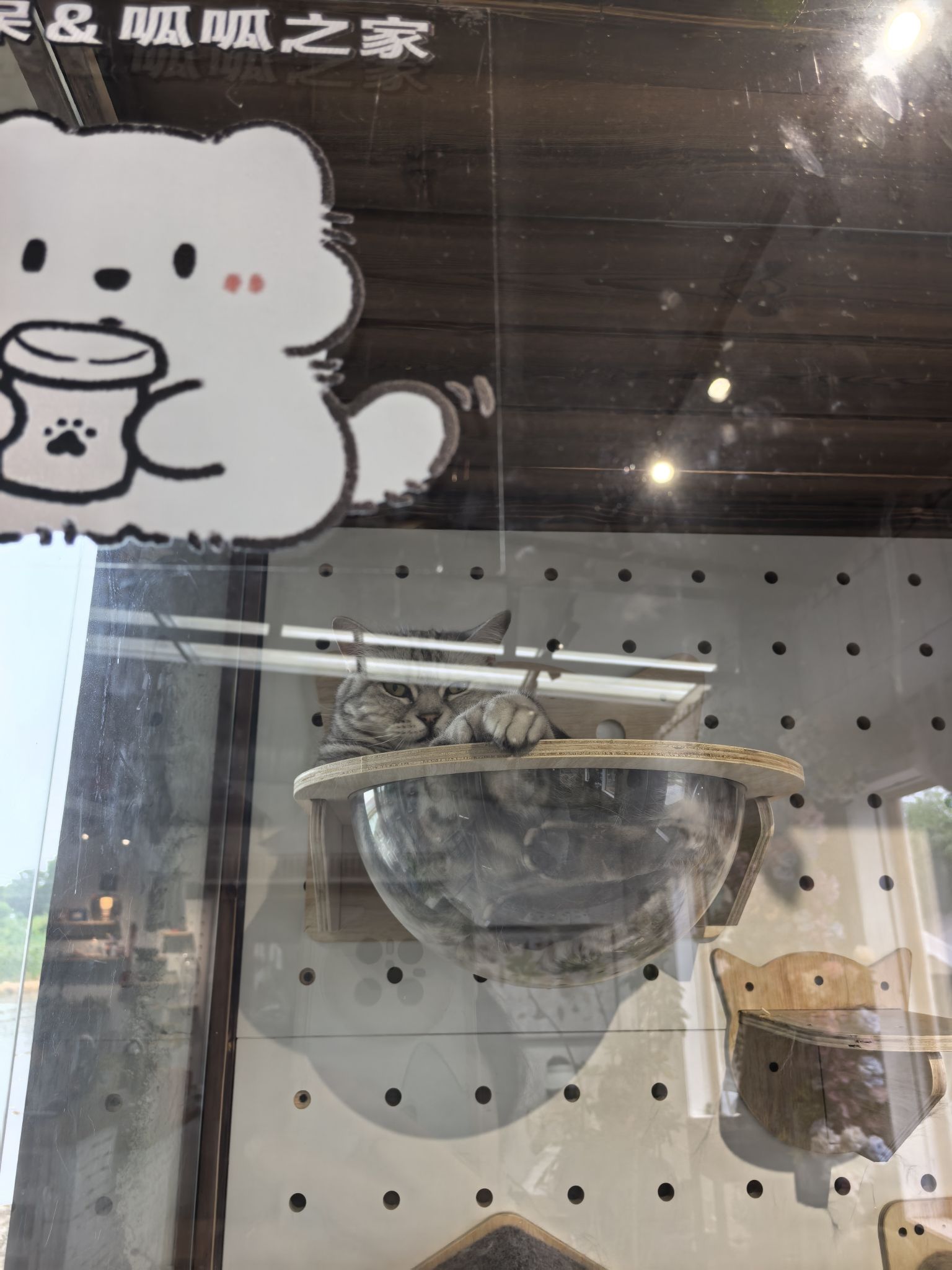 呆呆稻田咖啡屋 · Hangzhou