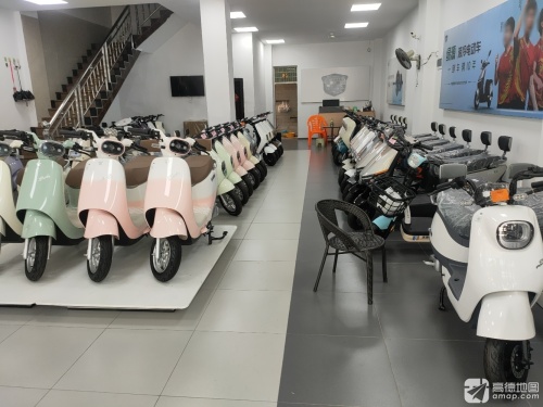 绿源电动车(万新街店)