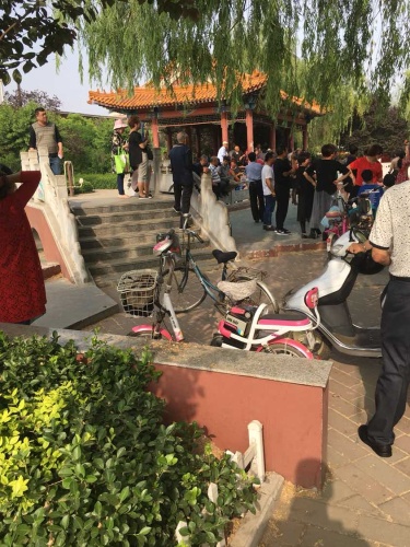 憩园旅行图片 2