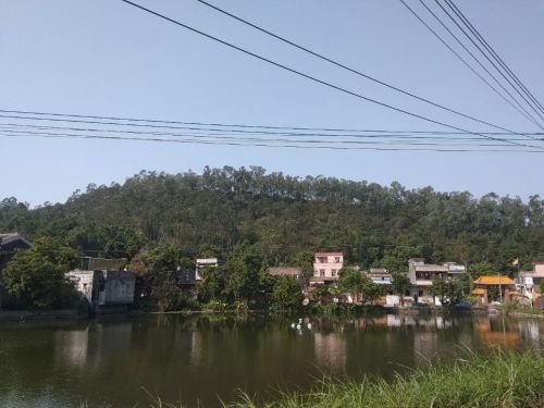 伍翰苑太祖佳山公园旅行图片 3