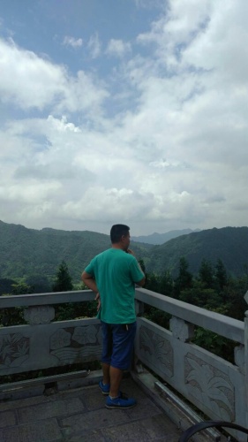 羊九森林公园旅行图片 3