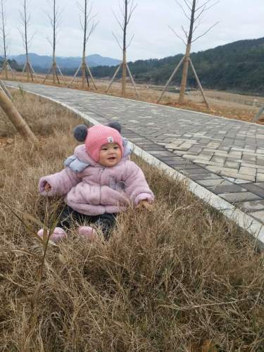 杭溪河入湖口湿地公园旅行图片 2