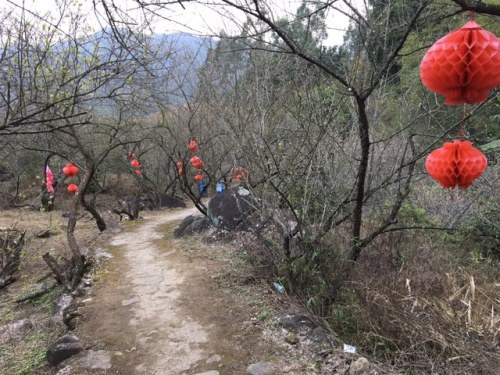 老仙洞风景区旅行图片 1
