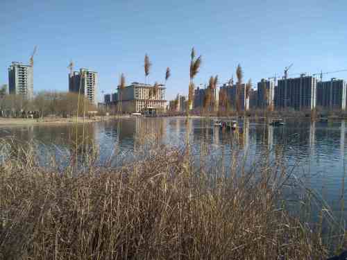 北湖公园旅行图片 2