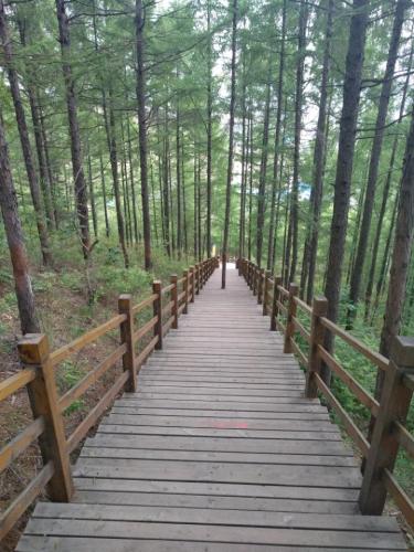 图们雕塑公园旅行图片 2