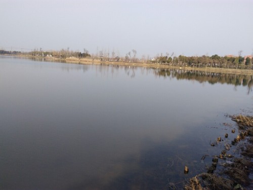 许慎文化公园旅行图片 2